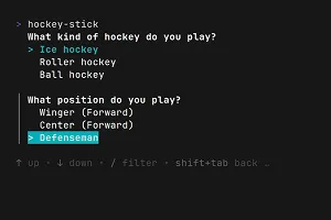 Hockey Stick Selector's project demo image